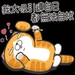 白爛貓☆