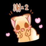 ♡小狐狸愛撒嬌 