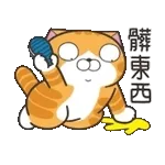 白爛-動態2025-12