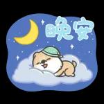 今天也是完美一天 🌟