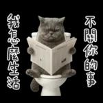 廁所貓貓✩別吵!我在用力✩