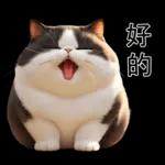 不听不听 0 853
