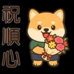 可愛柴犬⭐日常實用貼