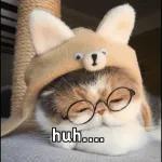 huh....