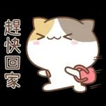 可愛貓貓❤貼心日常❤7