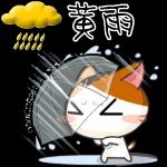 多雨天气11111111