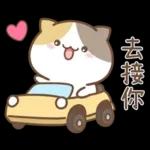 可愛貓貓❤貼心日常❤7