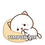 TIMPUK NIH