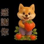 可愛柴犬⭐日常實用