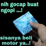 jgn didengerin dia lg kumquat