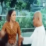 猩猩在树林里行走