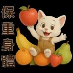 可愛白貓⭐ 日常實用