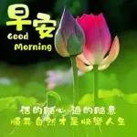 早安，吉祥如意 🙏