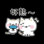 善解人意的貓貓