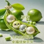 早上好~！！！！！！！