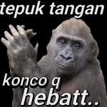  OKE BEBE