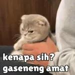 Pwetoala