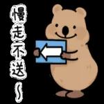 c cl 習慣就好