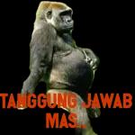 badai pasti berlalu berlalu lalang