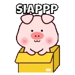                             Ciki 🐣TOP STICKERS