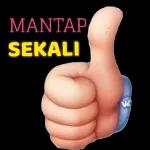 MANTAP SEKALI