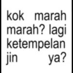 kok marah marah? lagi ketempelan jin ya?
