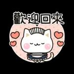 善解人意的貓貓