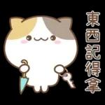 可愛貓貓❤貼心日常❤7