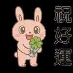 可愛粉紅兔⭐日常實用貼