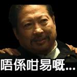 港星11111111
