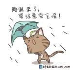 下雨了，記得帶雨具！