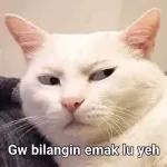 DRIVER MUDA ! SIAP MENJEMPUT