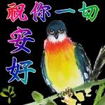 一聲問候，一份祝福，願你一切安好