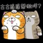 古古惑惑想做咩?？
