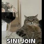                              LOTSO TOY STORYTOP STICKERS