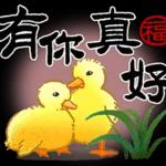 书法✨✨✨✨✨✨✨💖💖