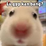 Lu gpp kan bang?