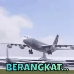 info