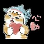 鲨鱼合金