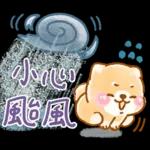 台風天要注意安全啊 🌀