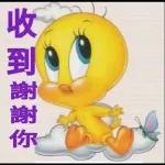 中文貼紙2