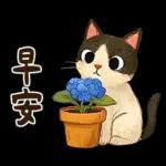 躲貓貓3-貓咪小插畫