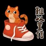 躲貓貓3-貓咪小插畫