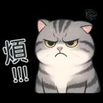 貓系列(4)-灰色虎斑貓