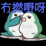 最要緊是開心每一天啦