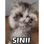                             Anime ngamokkTOP STICKERS