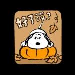 一隻黃色懶貓 x Snoopy
