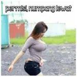 Bisa Aja KECEBONG Sawah