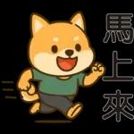 可愛柴犬⭐日常實用貼