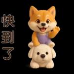 可愛柴犬⭐日常實用